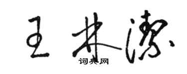 骆恒光王林洁草书个性签名怎么写
