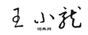 骆恒光王小龙草书个性签名怎么写