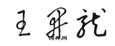 骆恒光王开龙草书个性签名怎么写