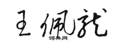 骆恒光王佩龙草书个性签名怎么写