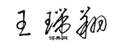 骆恒光王瑞翔草书个性签名怎么写