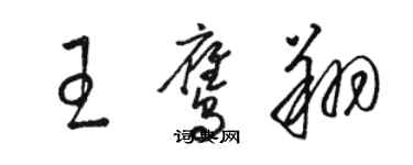 骆恒光王鹰翔草书个性签名怎么写