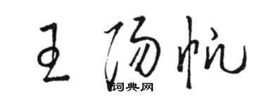 骆恒光王阳帆草书个性签名怎么写