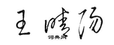 骆恒光王晴阳草书个性签名怎么写