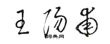 骆恒光王阳甫草书个性签名怎么写