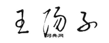 骆恒光王阳子草书个性签名怎么写
