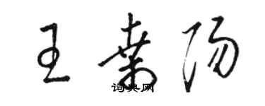 骆恒光王桑阳草书个性签名怎么写