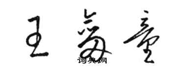 骆恒光王剑童草书个性签名怎么写
