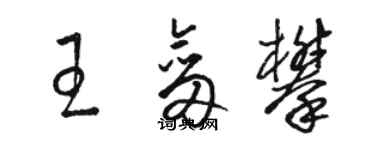 骆恒光王剑攀草书个性签名怎么写