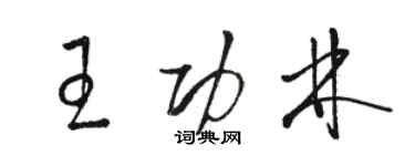 骆恒光王功林草书个性签名怎么写