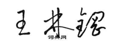 骆恒光王林钢草书个性签名怎么写
