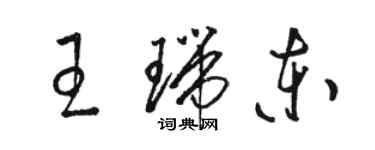 骆恒光王瑞东草书个性签名怎么写