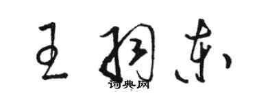 骆恒光王羽东草书个性签名怎么写