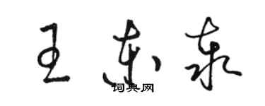 骆恒光王东泰草书个性签名怎么写