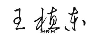 骆恒光王植东草书个性签名怎么写