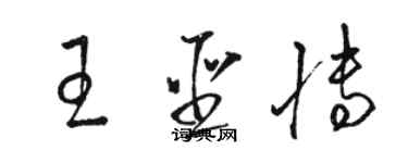 骆恒光王圣博草书个性签名怎么写