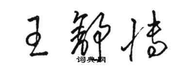 骆恒光王舒博草书个性签名怎么写