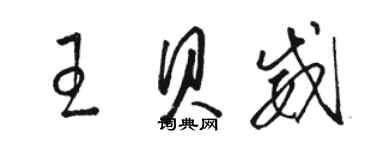 骆恒光王贝威草书个性签名怎么写