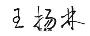骆恒光王扬林草书个性签名怎么写