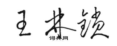 骆恒光王林锁草书个性签名怎么写