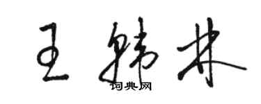 骆恒光王韩林草书个性签名怎么写
