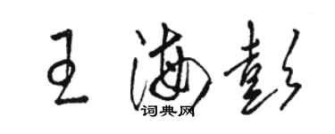 骆恒光王海彭草书个性签名怎么写