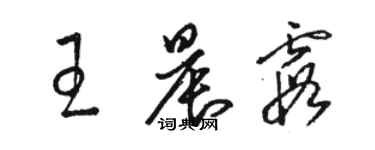 骆恒光王晨霞草书个性签名怎么写