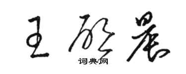 骆恒光王启晨草书个性签名怎么写