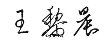 骆恒光王黎晨草书个性签名怎么写