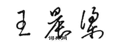 骆恒光王晨梁草书个性签名怎么写