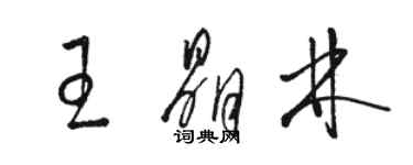 骆恒光王晶林草书个性签名怎么写