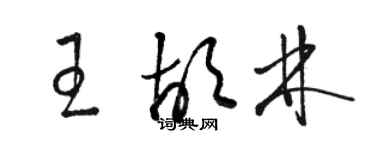 骆恒光王胡林草书个性签名怎么写