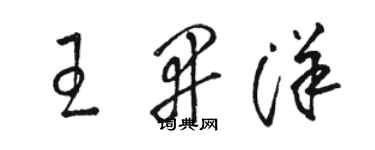 骆恒光王开洋草书个性签名怎么写