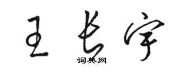 骆恒光王长宇草书个性签名怎么写