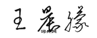 骆恒光王晨朦草书个性签名怎么写