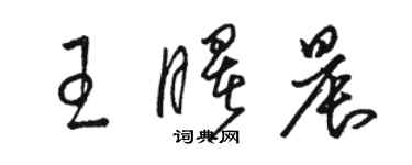 骆恒光王曙晨草书个性签名怎么写