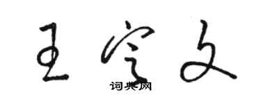 骆恒光王定文草书个性签名怎么写