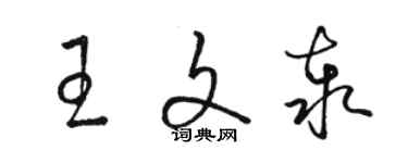 骆恒光王文泰草书个性签名怎么写
