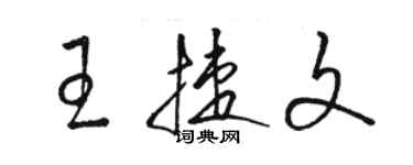 骆恒光王捷文草书个性签名怎么写