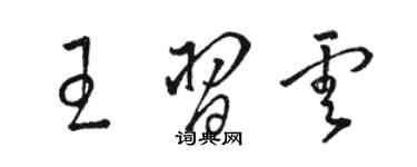 骆恒光王习云草书个性签名怎么写