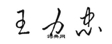 骆恒光王力忠草书个性签名怎么写