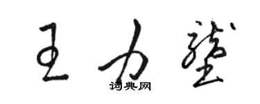 骆恒光王力垄草书个性签名怎么写