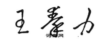 骆恒光王秦力草书个性签名怎么写