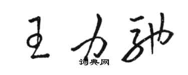 骆恒光王力驰草书个性签名怎么写