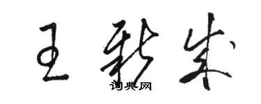 骆恒光王新成草书个性签名怎么写