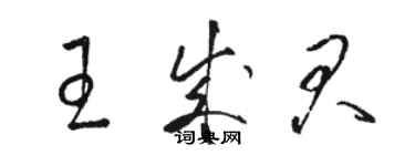骆恒光王成君草书个性签名怎么写