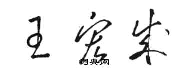 骆恒光王宏成草书个性签名怎么写