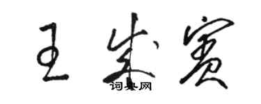 骆恒光王成宾草书个性签名怎么写
