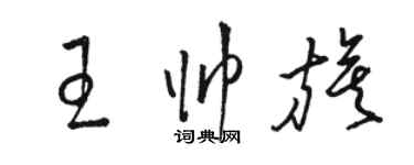 骆恒光王帅旗草书个性签名怎么写