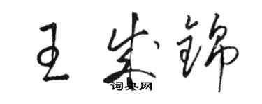 骆恒光王成锦草书个性签名怎么写